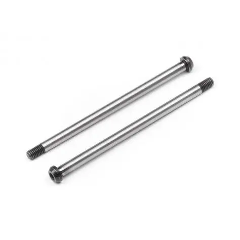 D819 / D819rs / E819  Hinge Pin Set Rear Outer 2Pcs 1