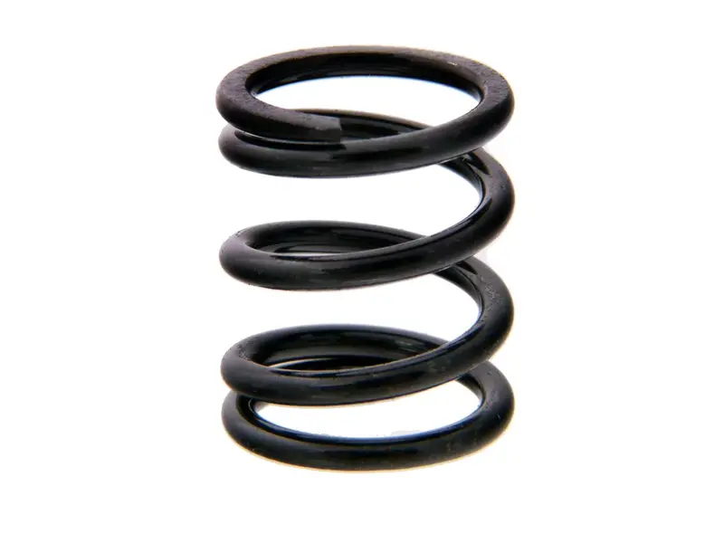 Mbx8 Servo Saver Spring (A) 1