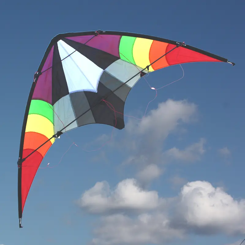 Windspeed Ikon Sports Dual Control Kite - Ws7516 1