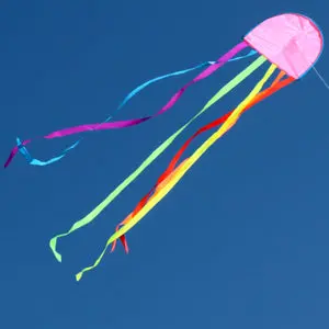 Windspeed Jellyfish Single Line Kite - Ws150 1